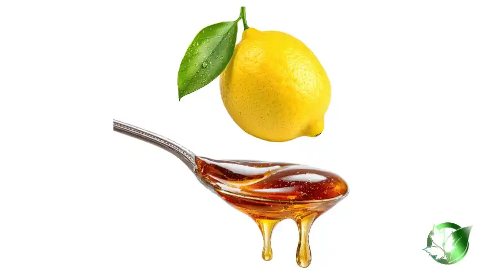 Bulk Lemon Syrup | Suppliers | Wholesale | ParsaFood Global
